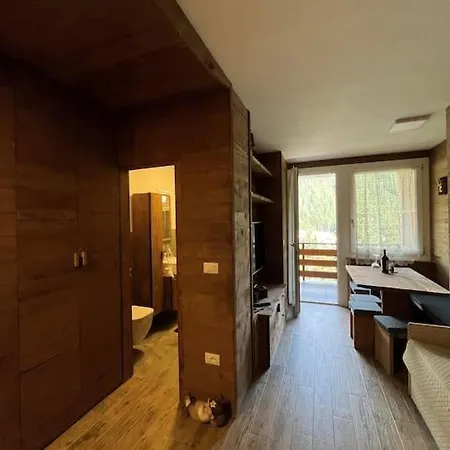 Apartment Monolocale San Souci - Serafini Madonna di Campiglio